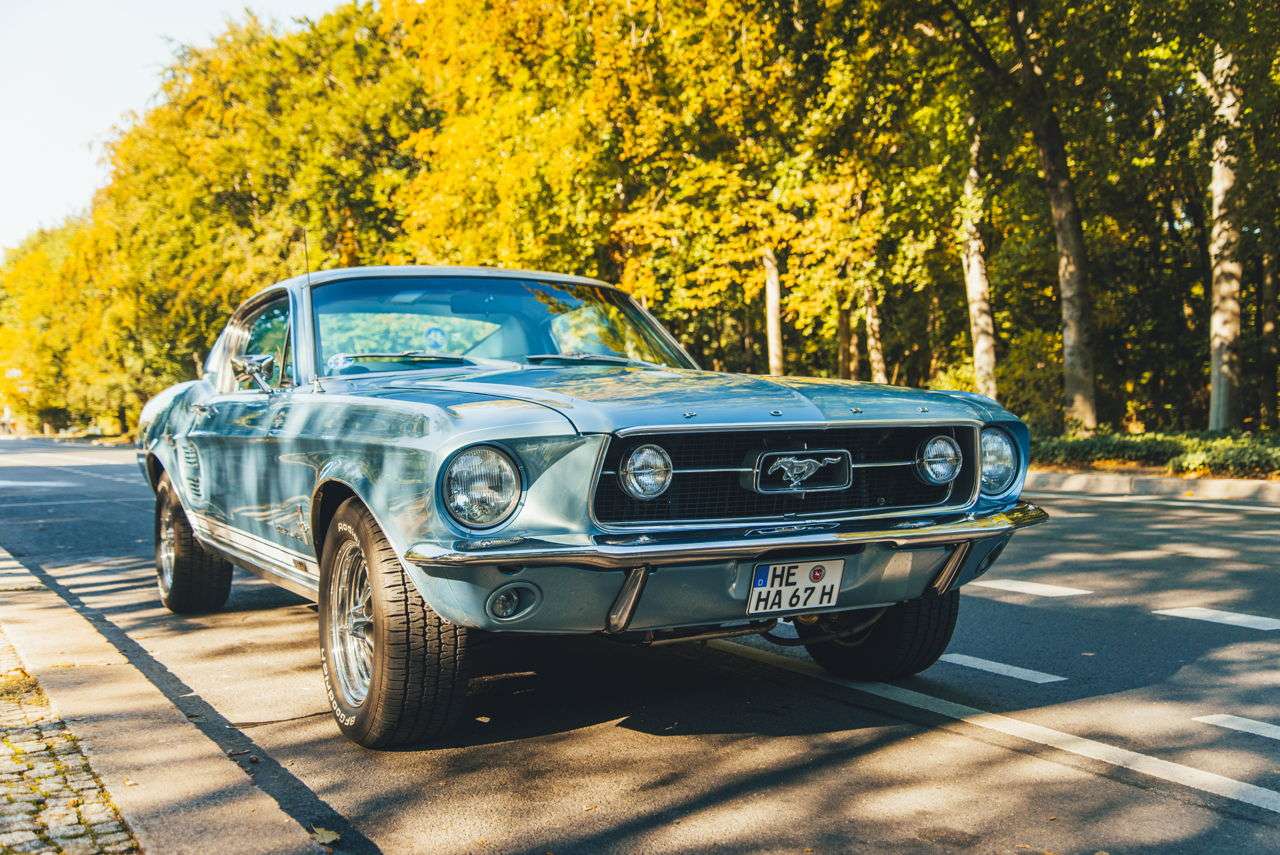 Um Mustang "O Pônei" puzzle online a partir de fotografia
