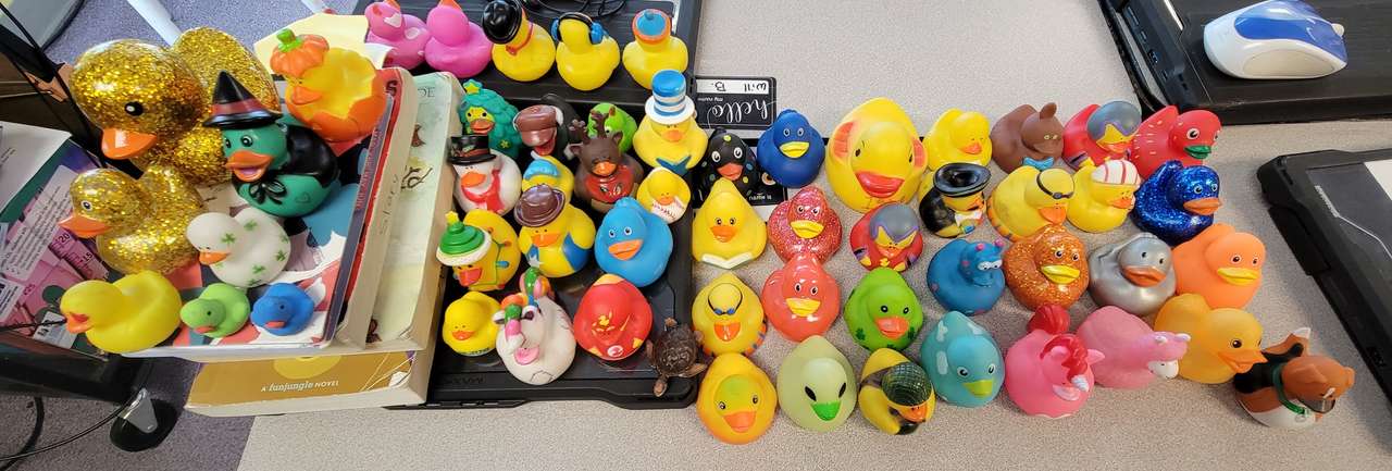 Khanh's Ducks puzzle online from photo