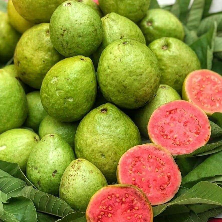 guava příze online puzzle