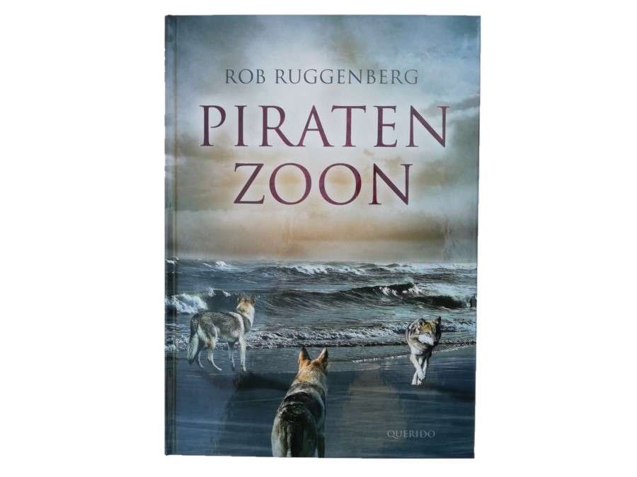 piraten zoon puzzle online from photo