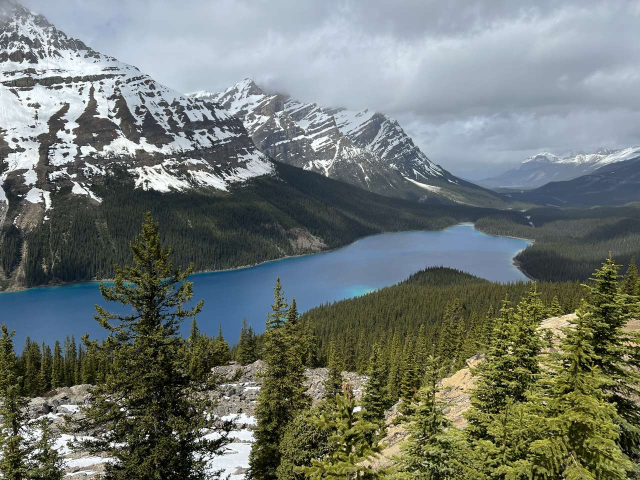 Peyto lake puzzle online from photo