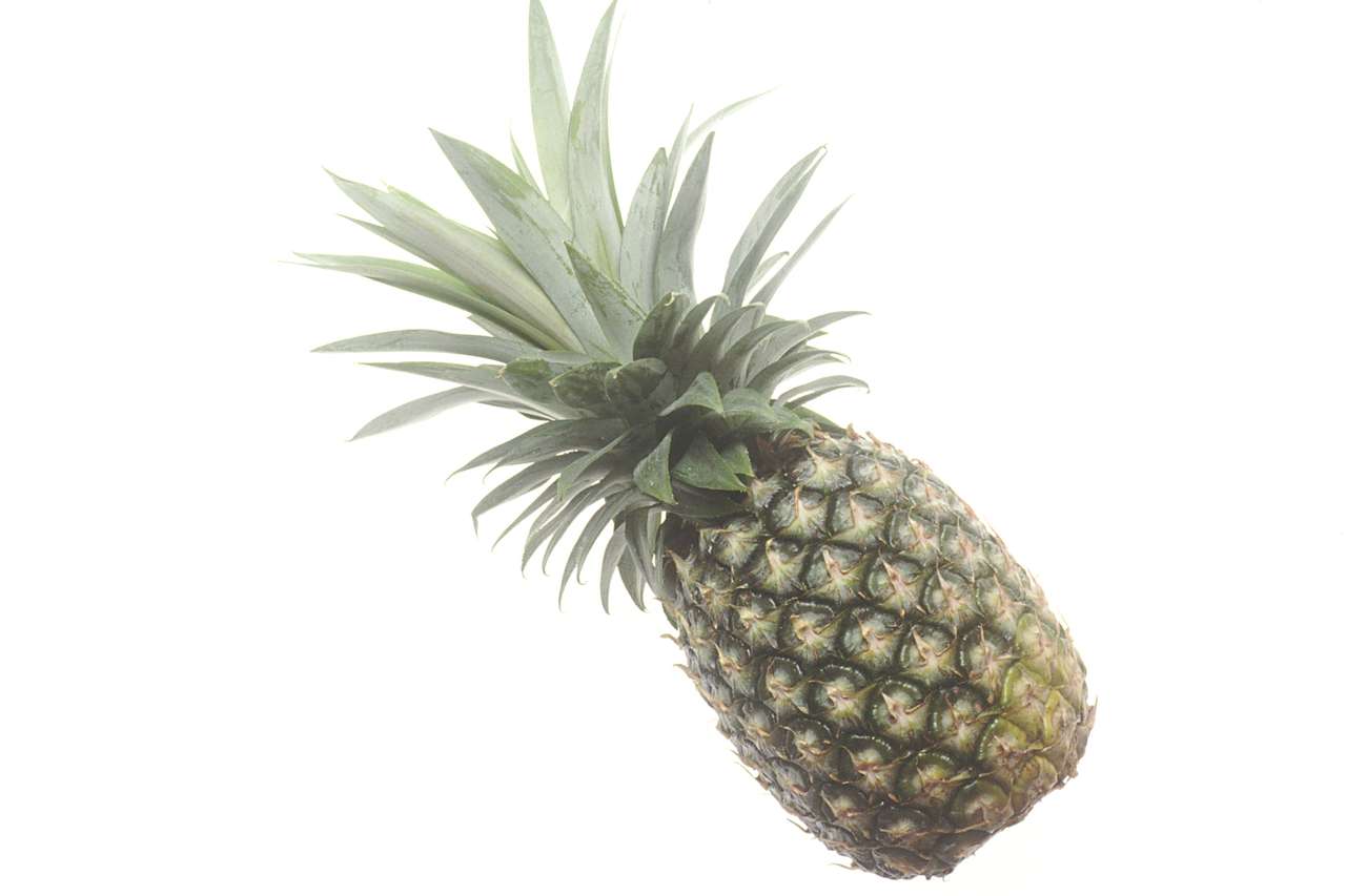 pineapple online puzzle