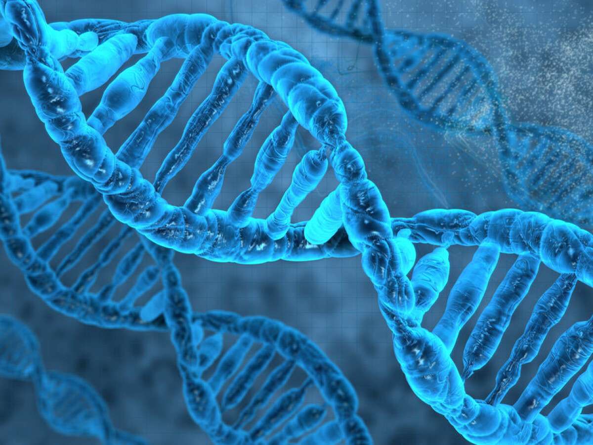 Enigma del DNA puzzle online