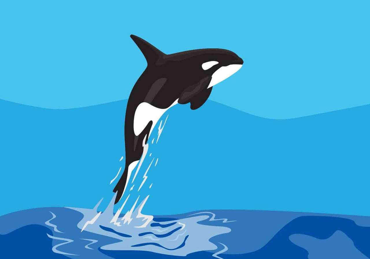 dibujos animados de orca rompecabezas en línea