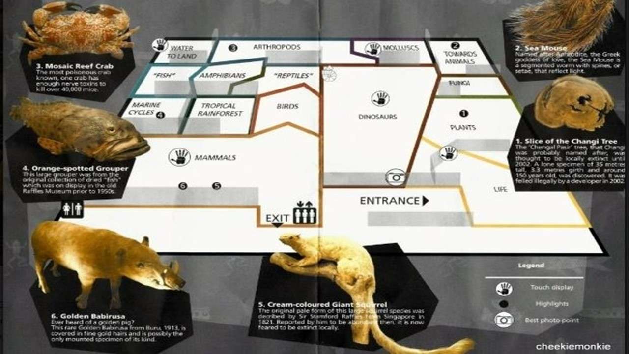 Mapa muzea LKC puzzle online z fotografie