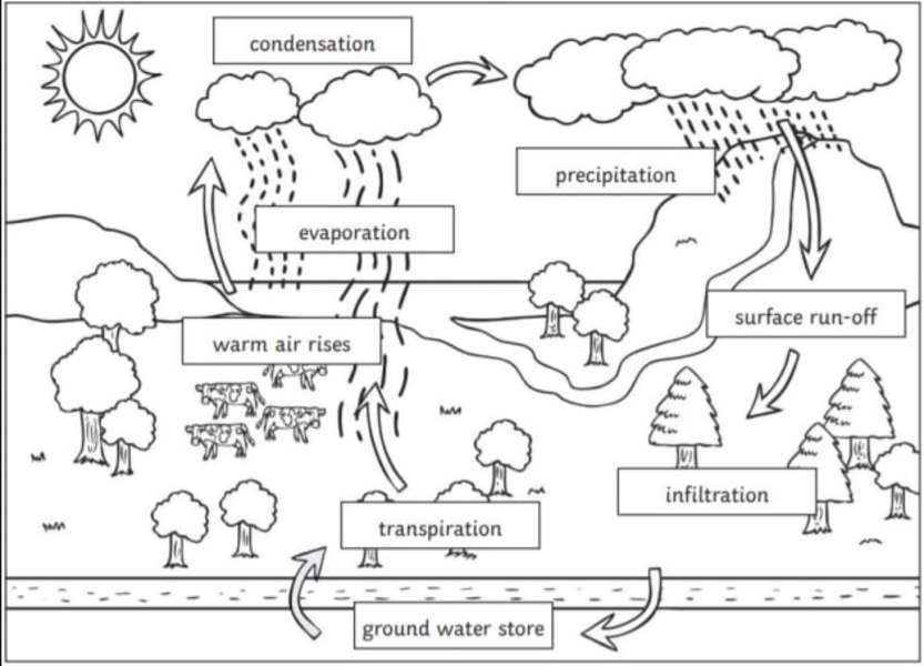 Water Cycle 2 online puzzle