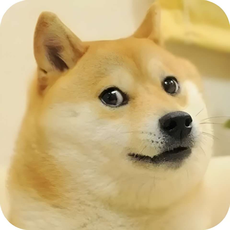 Dogo ist Dogo mit Dogo Online-Puzzle
