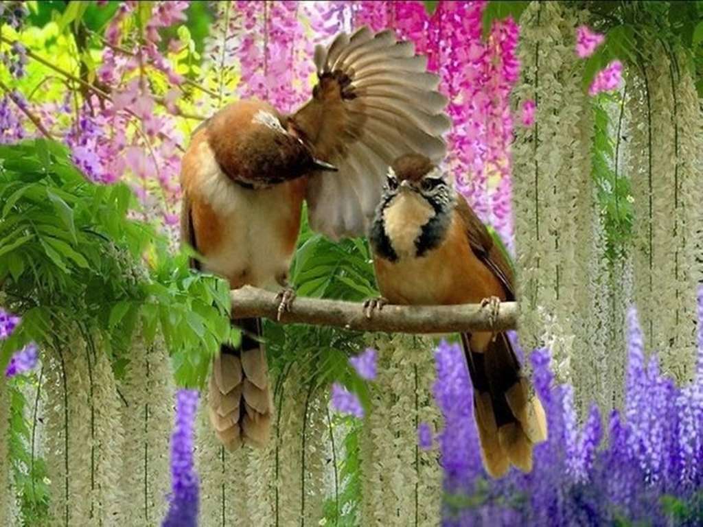 Fåglar Bland Blommorna pussel online från foto