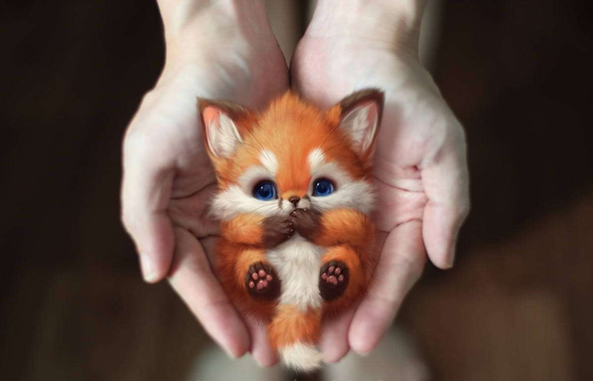foxy de kleine online puzzel