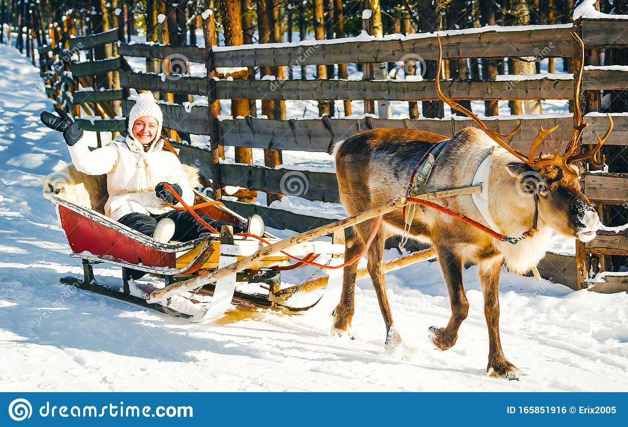 Каране с шейна в снега онлайн пъзел