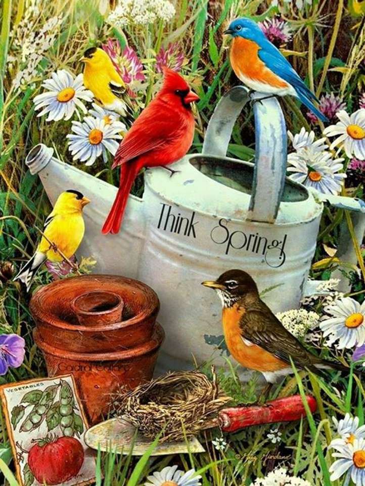 Oiseaux de printemps puzzle en ligne à partir d'une photo