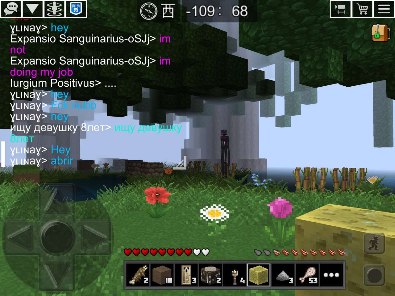 the enderman in Minecraft puzzle online from photo