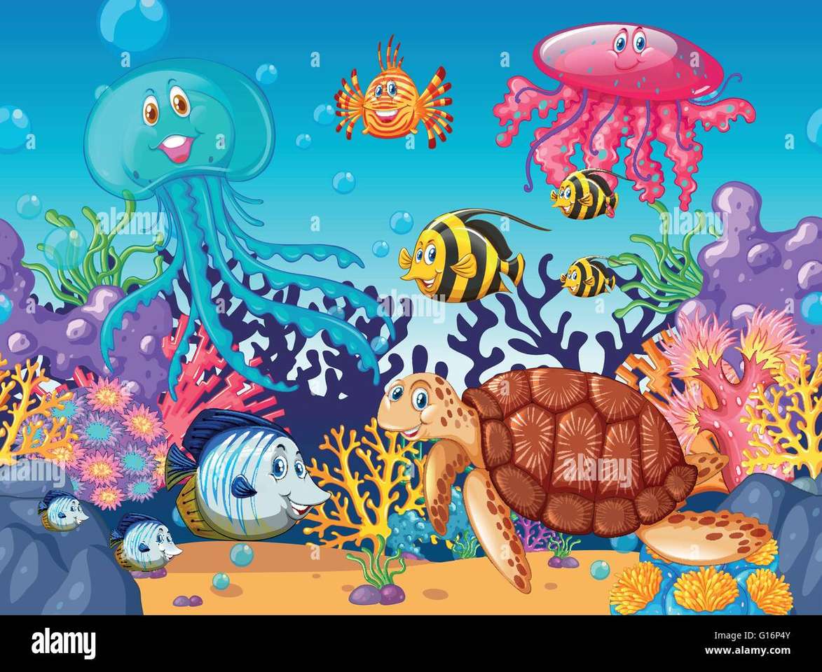 sea animals puzzle online from photo