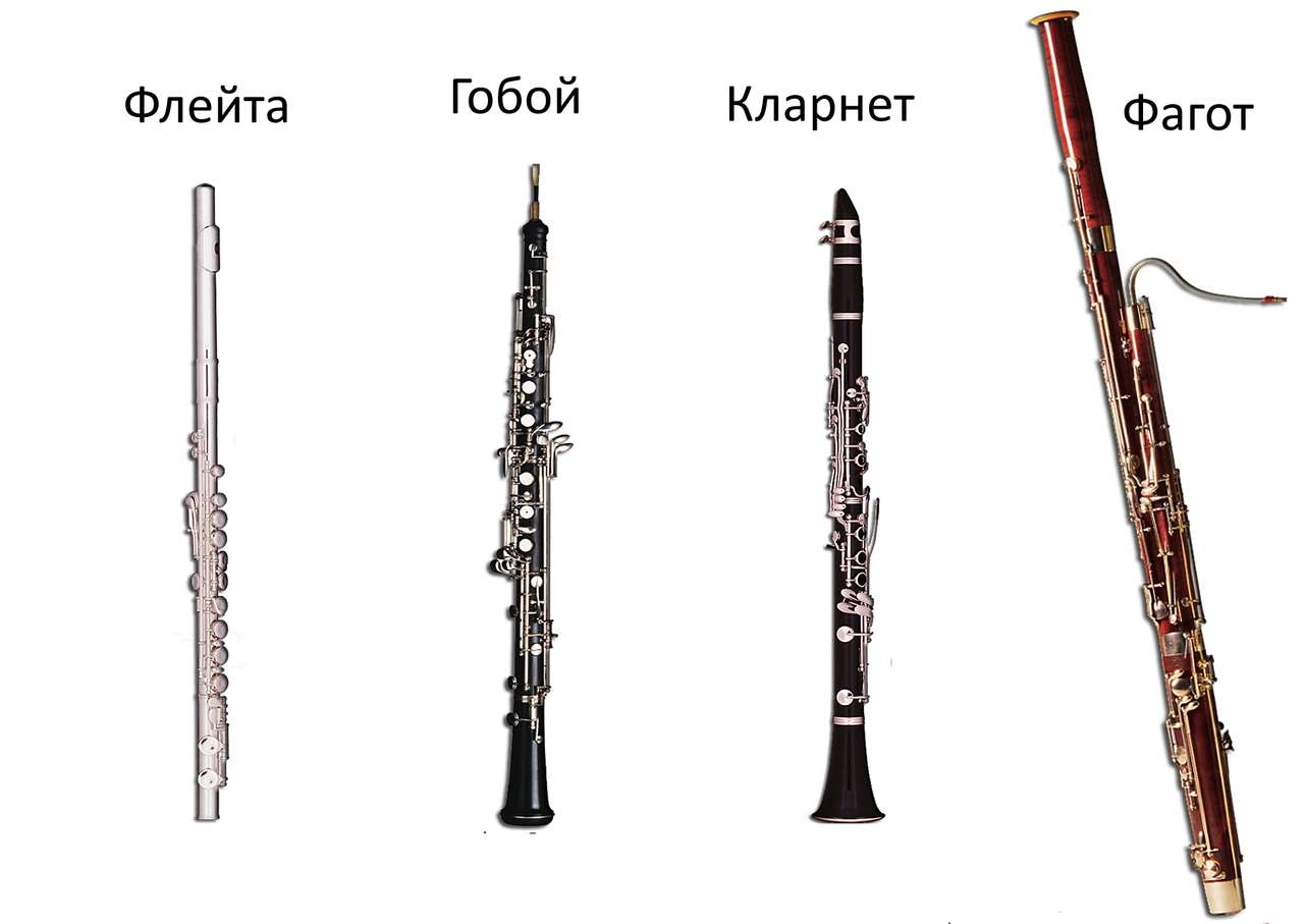 Woodwinds puzzle online from photo