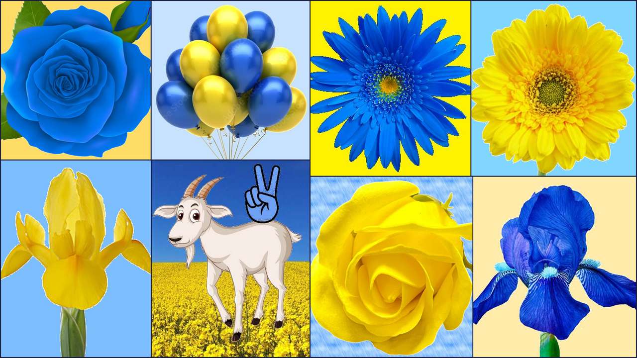 Două culori puzzle online din fotografie