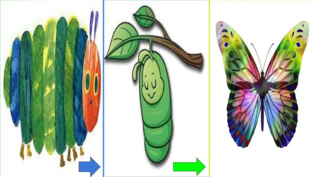 From caterpillar to cocoon to butterfly online puzzle