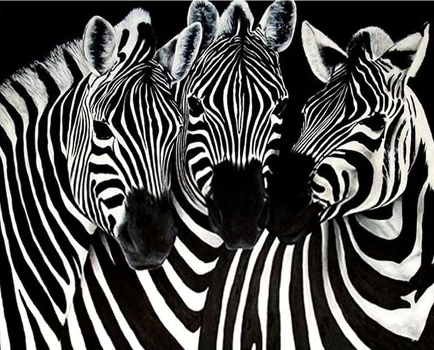 Rompecabezas Zebra онлайн пъзел