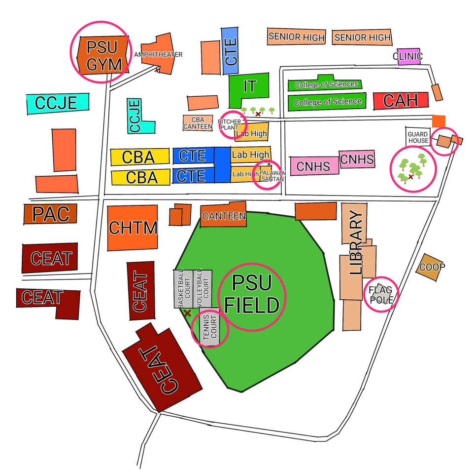 PSU MAP för elever i årskurs 9 aktivitet pussel online från foto