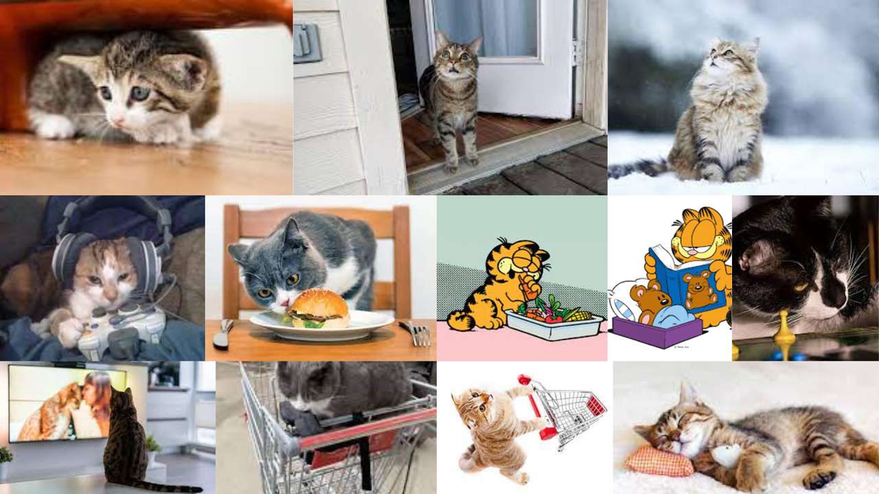 colagem épica de gato puzzle online a partir de fotografia