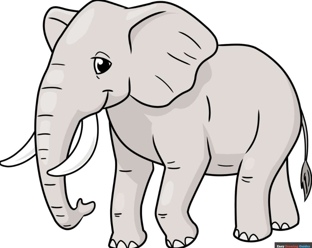 Elefante puzzle online a partir de fotografia