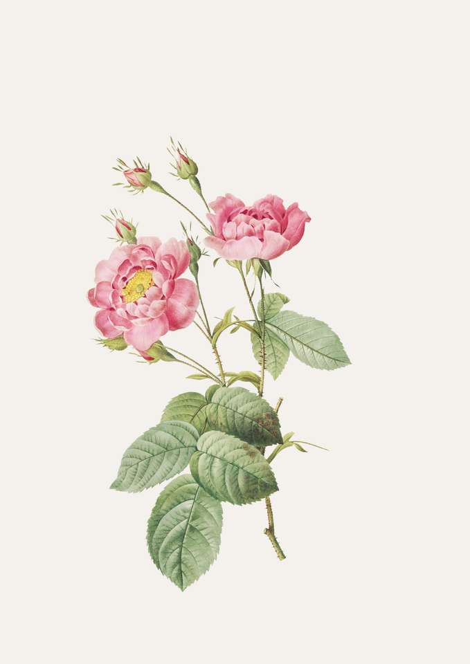 Puzzle Bunga Rose puzzle online fotóról