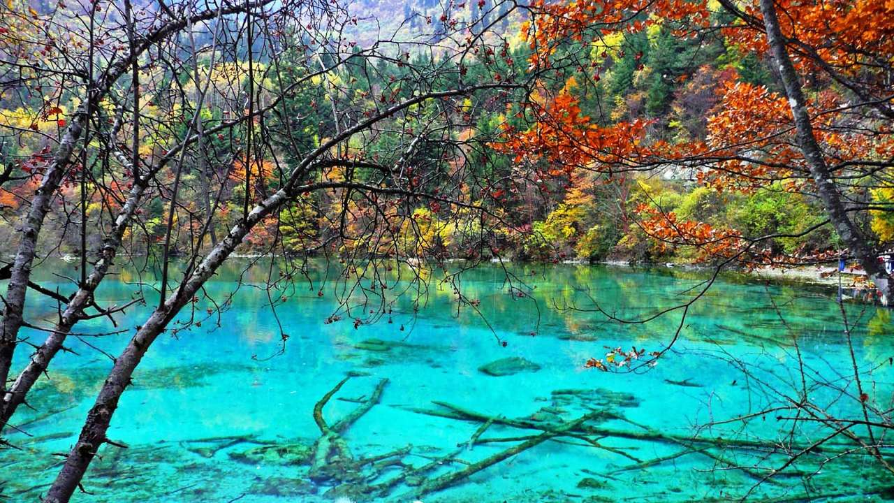 Lagoa Azul Árvore Vermelha puzzle online a partir de fotografia