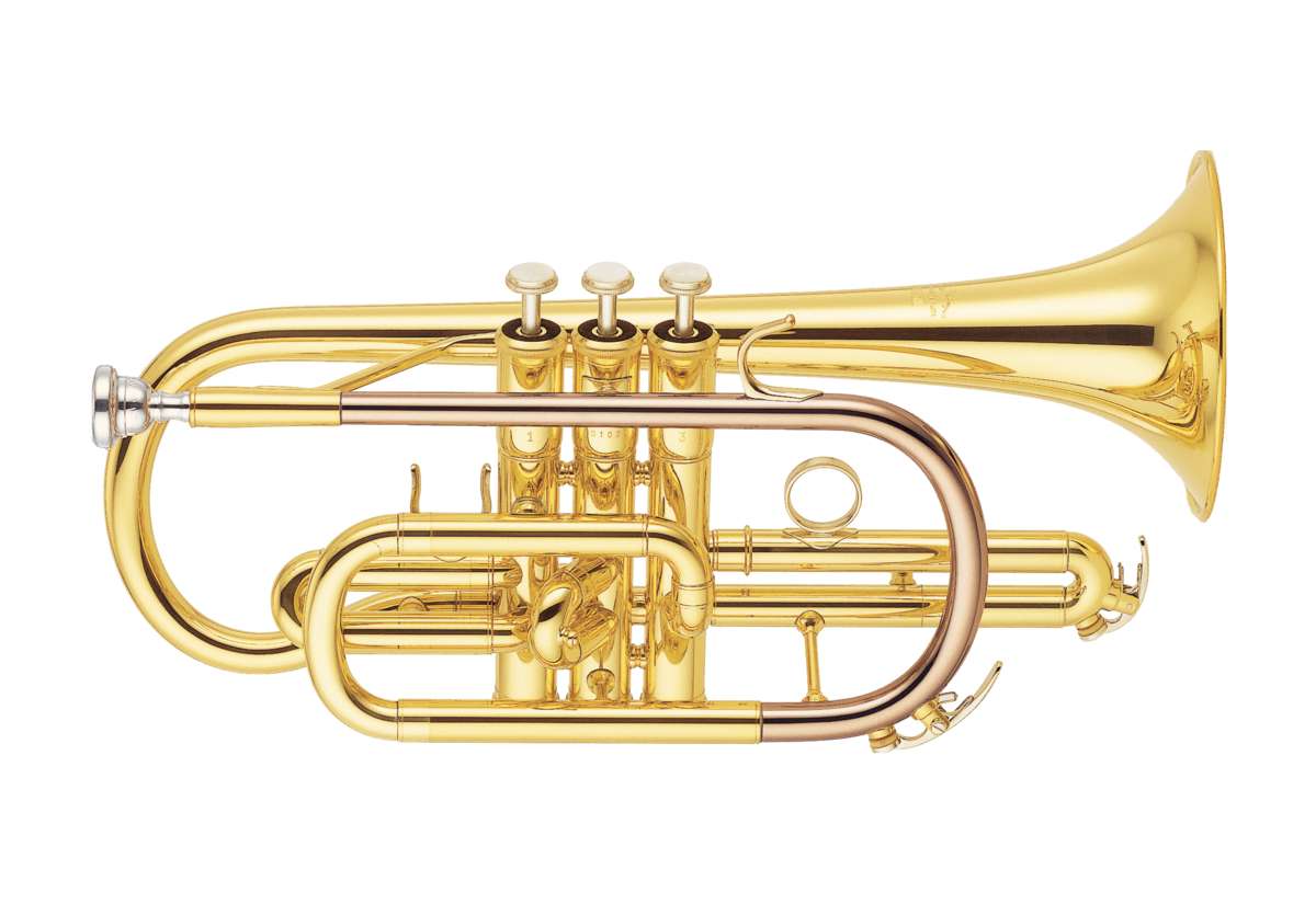 Trumpet. Pussel online