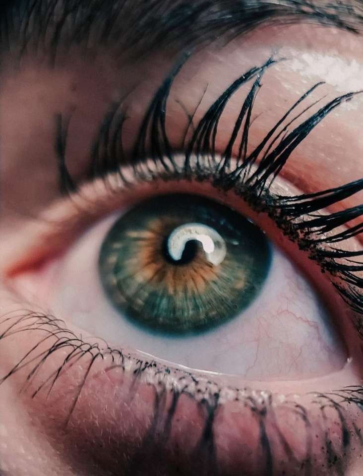 Egy szépség szeme puzzle online fotóról