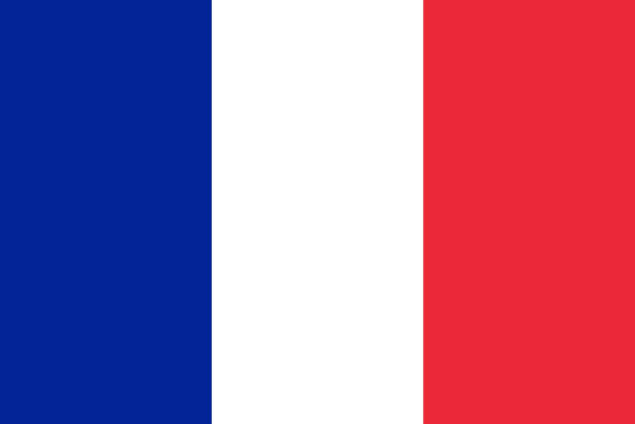 Frankrike flagga pussel online från foto