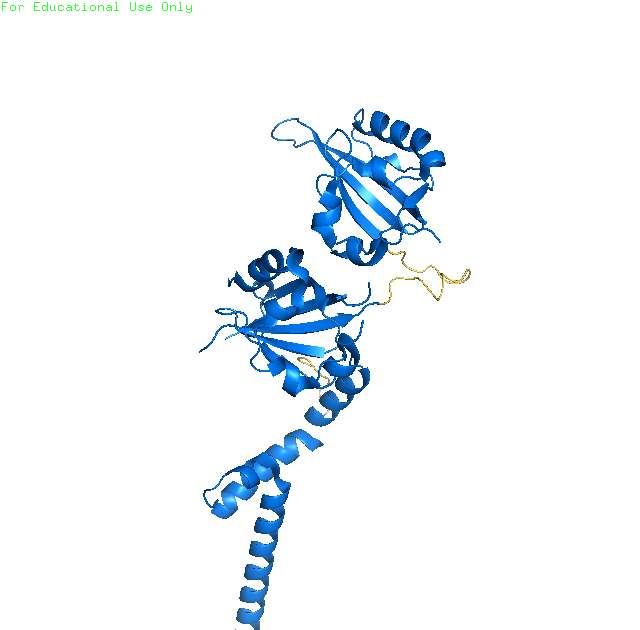 Protein Bmal1 online puzzle