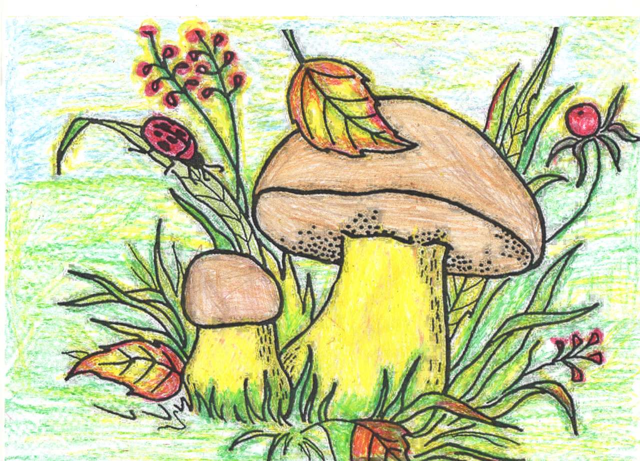 Mushrooms in the forest puzzle online from photo