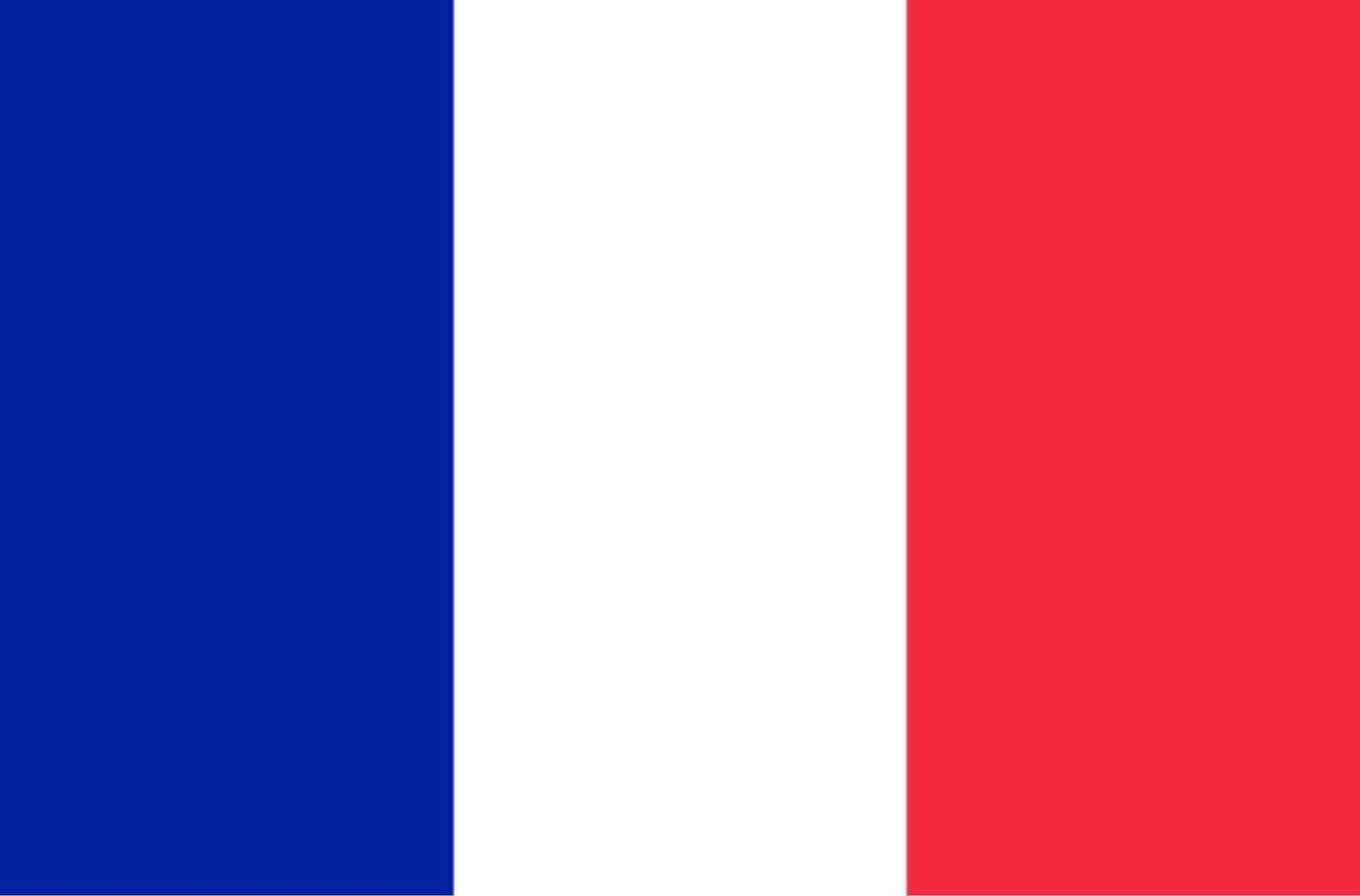eșantion de Franța puzzle online