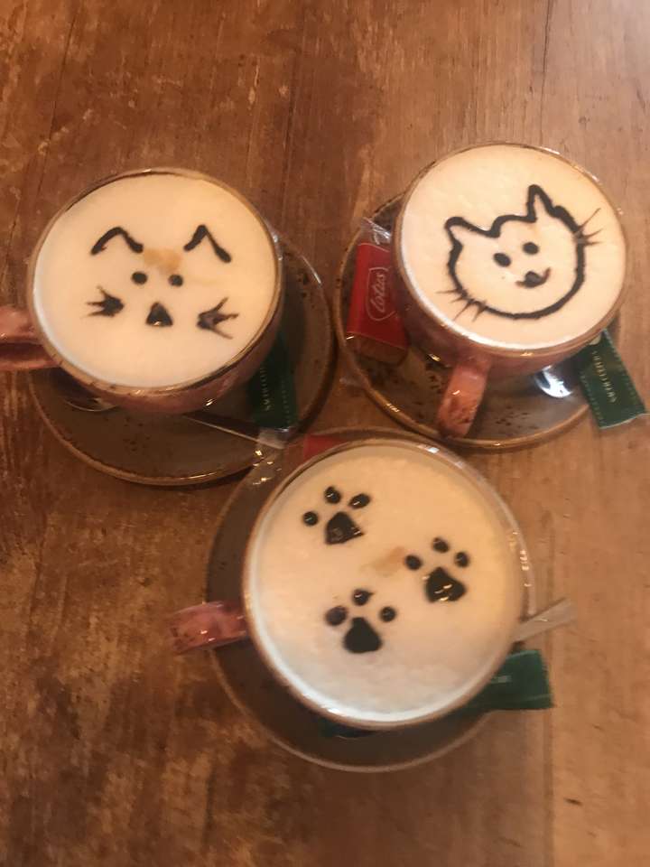 Café gatos puzzle online a partir de foto