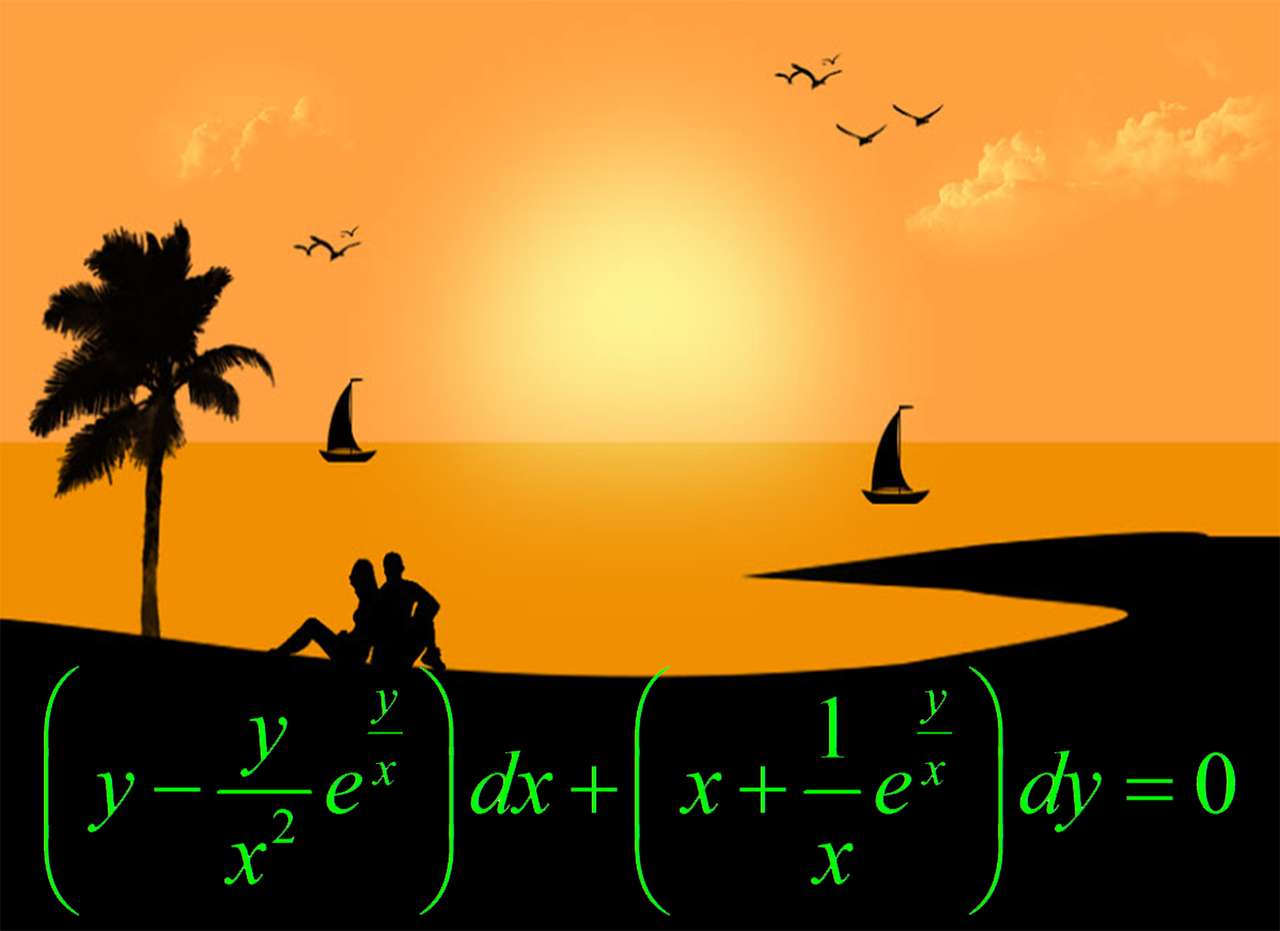 ORDINARY DIFFERENTIAL EQUATIONS online puzzle