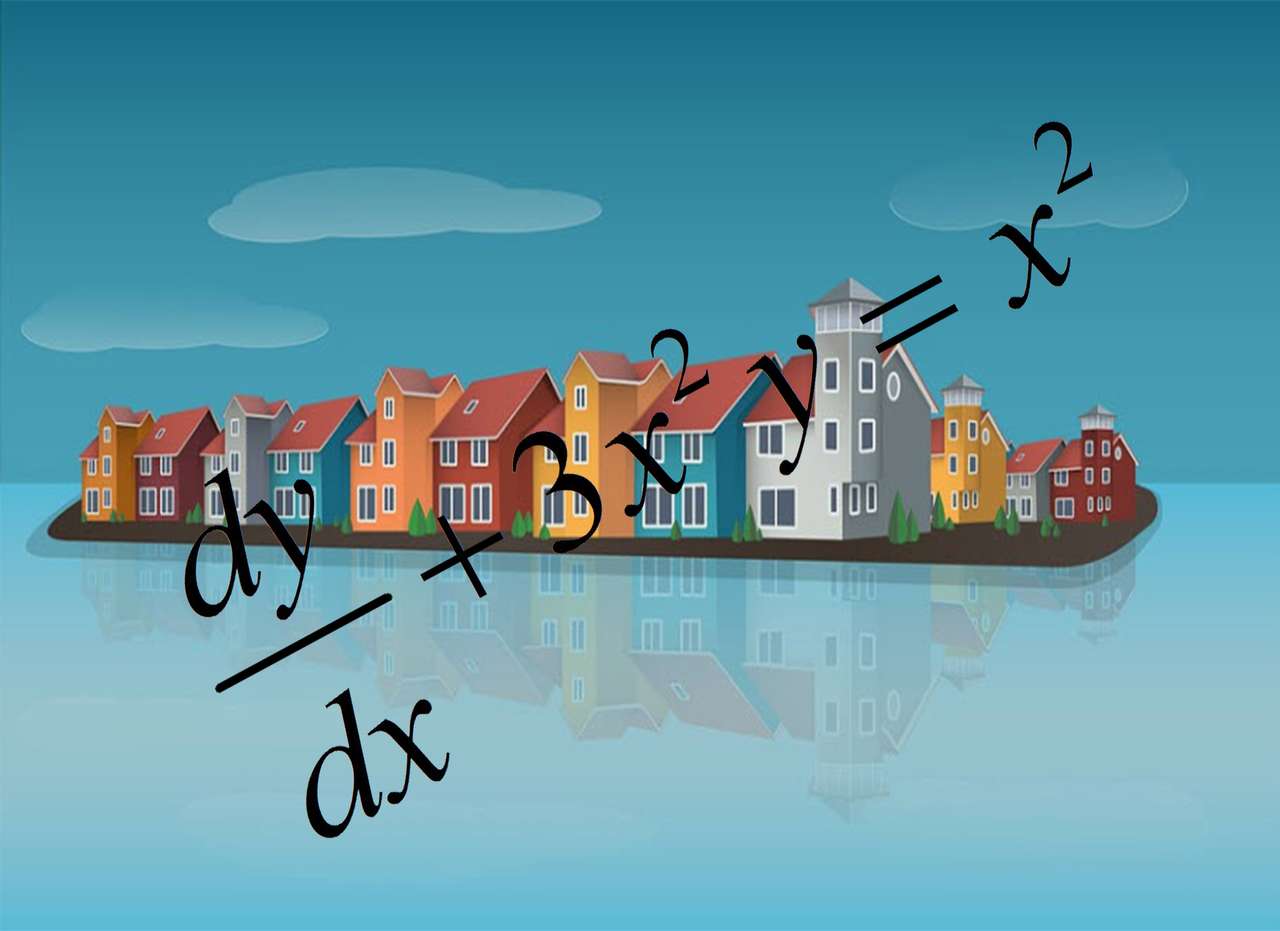DIFFERENTIAL EQUATIONS puzzle online from photo