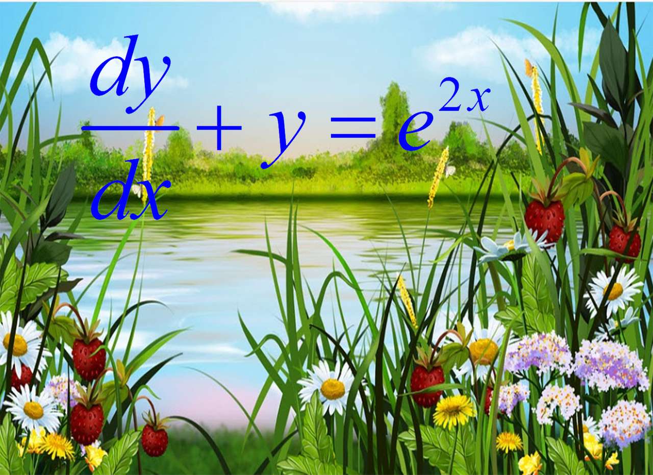 ORDINARY DIFFERENTIAL EQUATIONS online puzzle