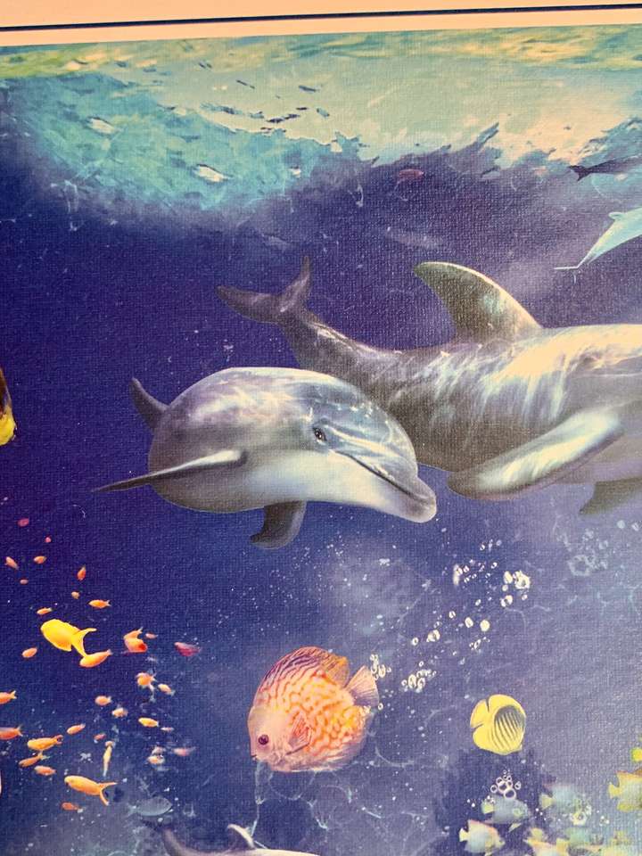 дельфины онлайн-пазл
