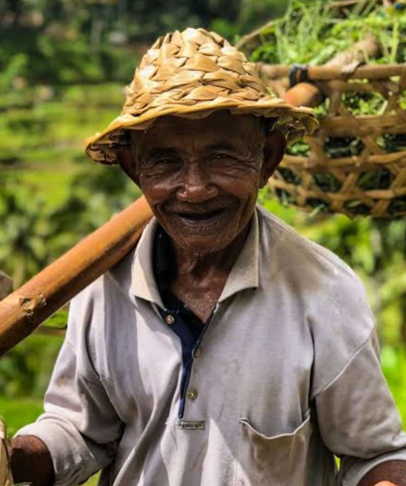Παλαιός αγρότης παζλ online από φωτογραφία