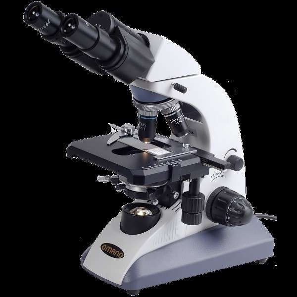 Mikroskop Online-Puzzle vom Foto
