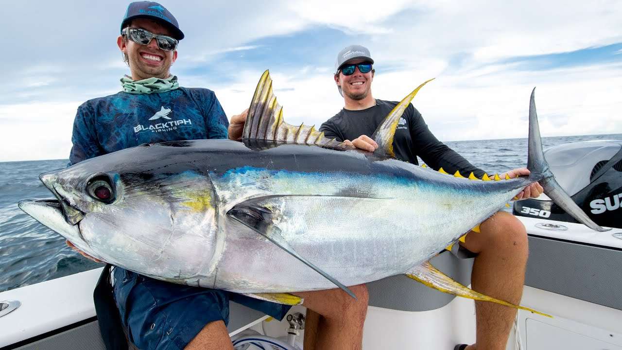 Tunfisken rompecabezas en línea