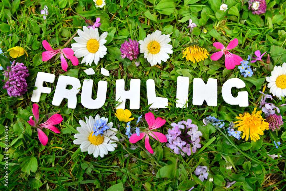 DER FRÜHLING puzzle online from photo