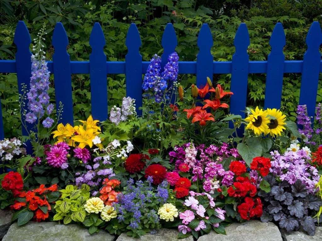 Голубые заборы и цветы онлайн-пазл