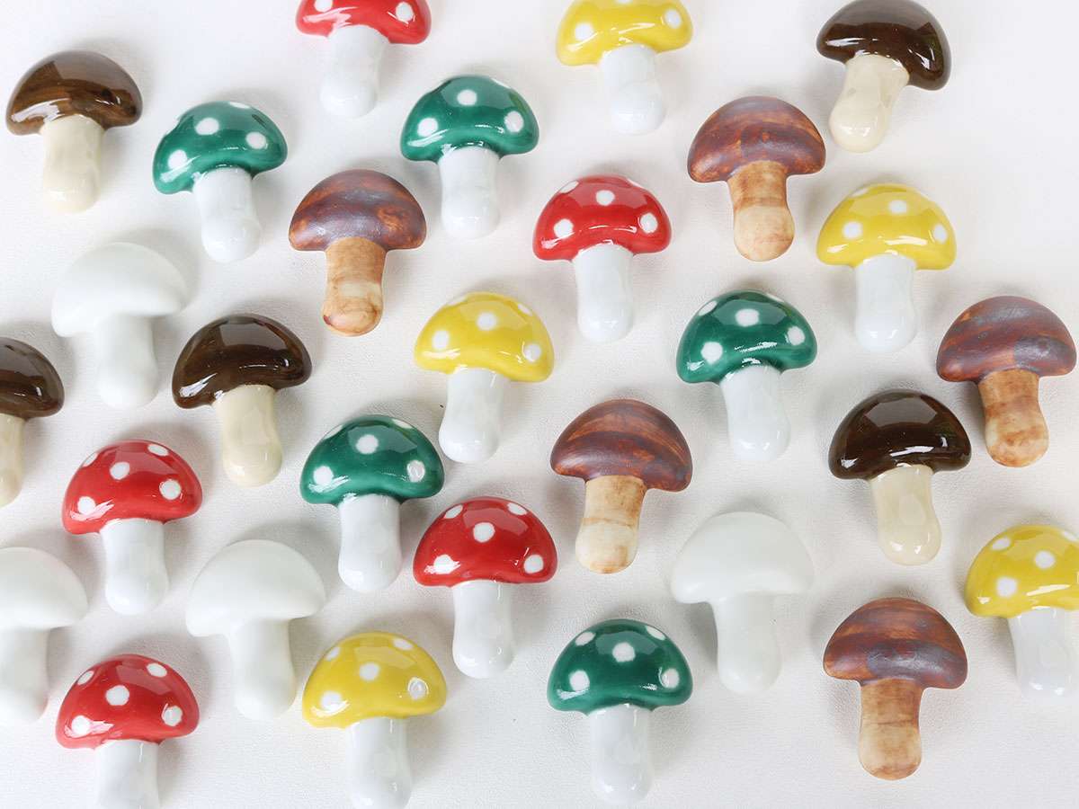 Montagna di funghi alla griglia puzzle online da foto