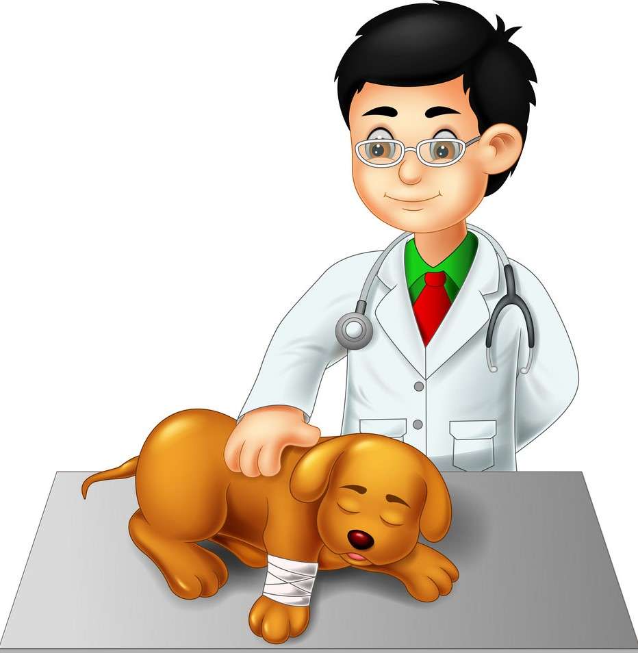 mazlíček s veterinářem puzzle online z fotografie