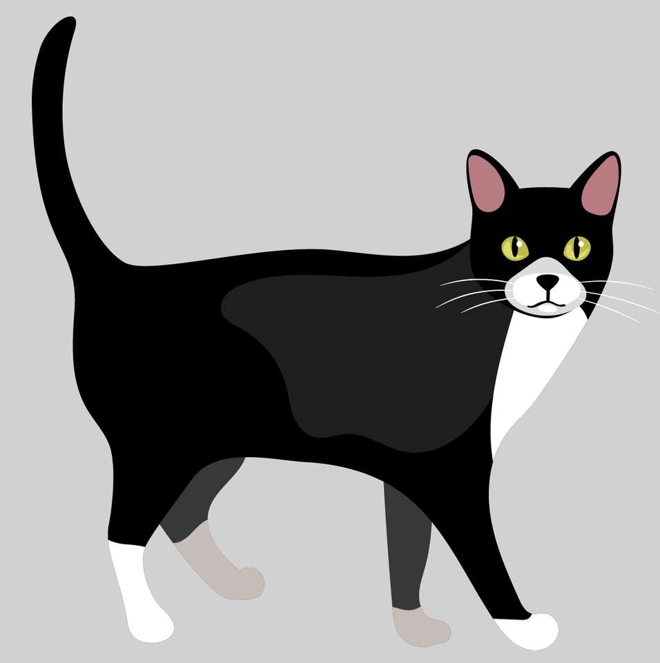 chat noir puzzle en ligne à partir d'une photo