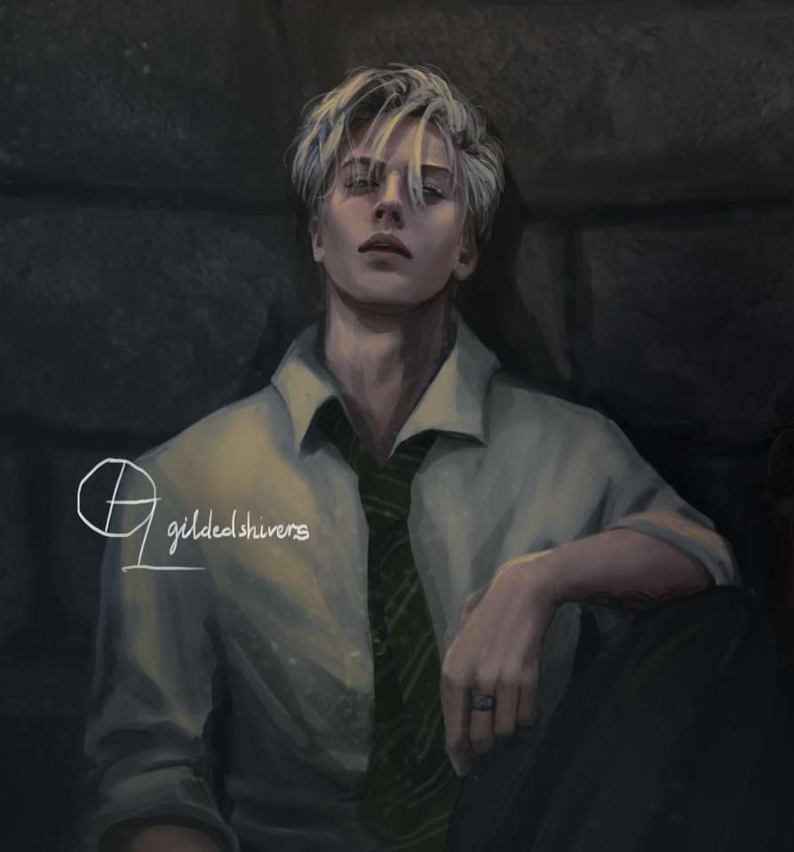 D malfoy puzzle online from photo
