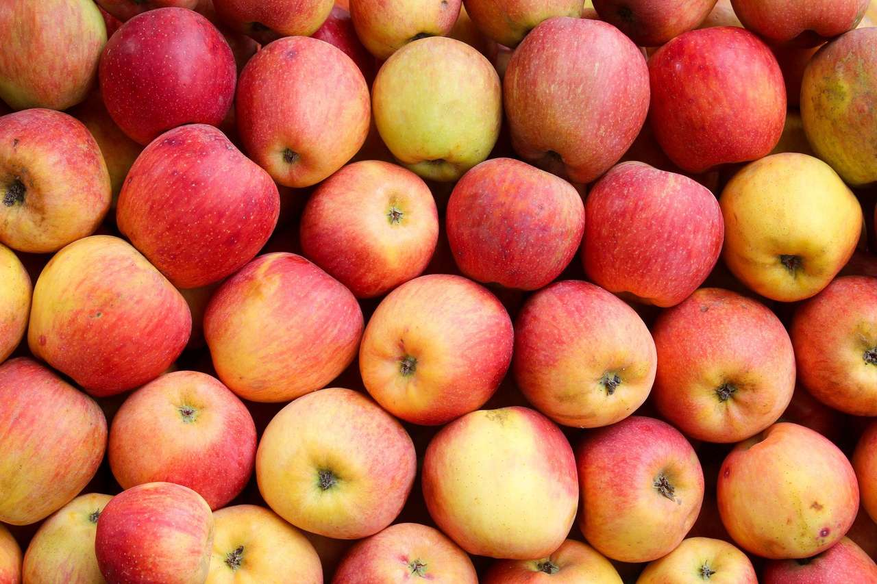 Πολλά Μήλα παζλ online από φωτογραφία