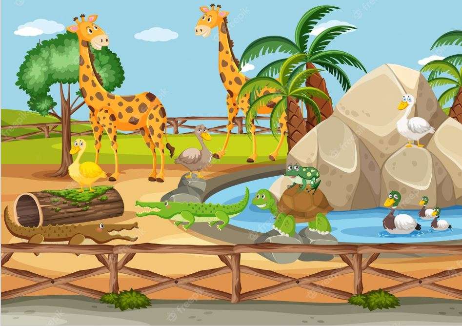 Zoo animals colors puzzle online from photo