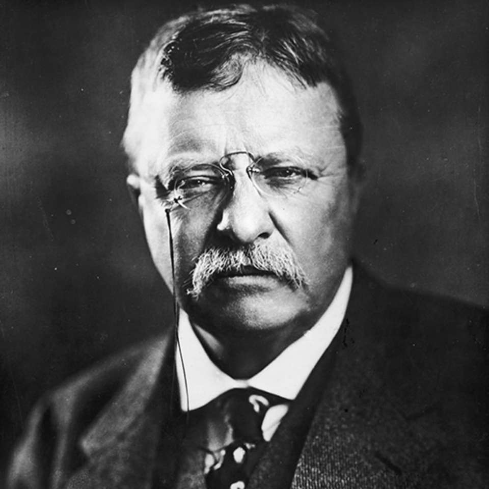 teddy roosevelt puzzle online a partir de fotografia