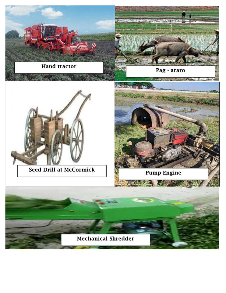 agrikultura puzzle online from photo